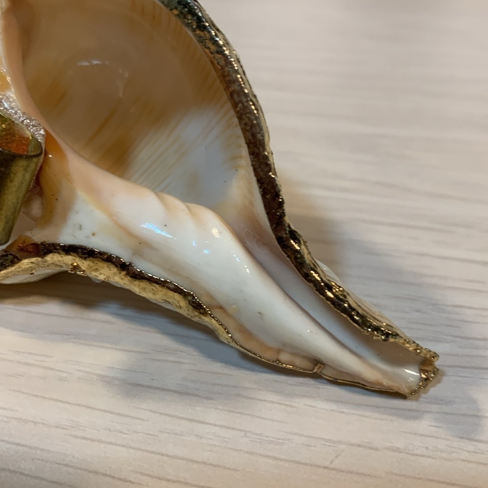 Vintage 1970s Real Shell Belt Buckle Ivory & Gold Nautical Coastal Beach Vibe - Picture 6 of 17